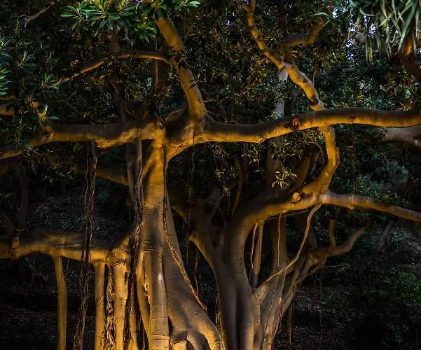 Pulejo אתר נופש